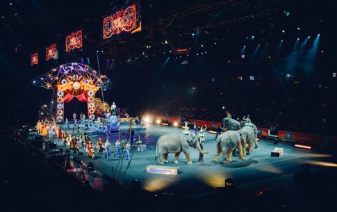 Une soirée pleine d'émotions au Cirque d'Hiver